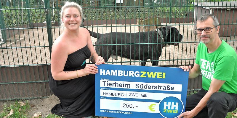 Unterstüzung für das Tierheim Süderstraße