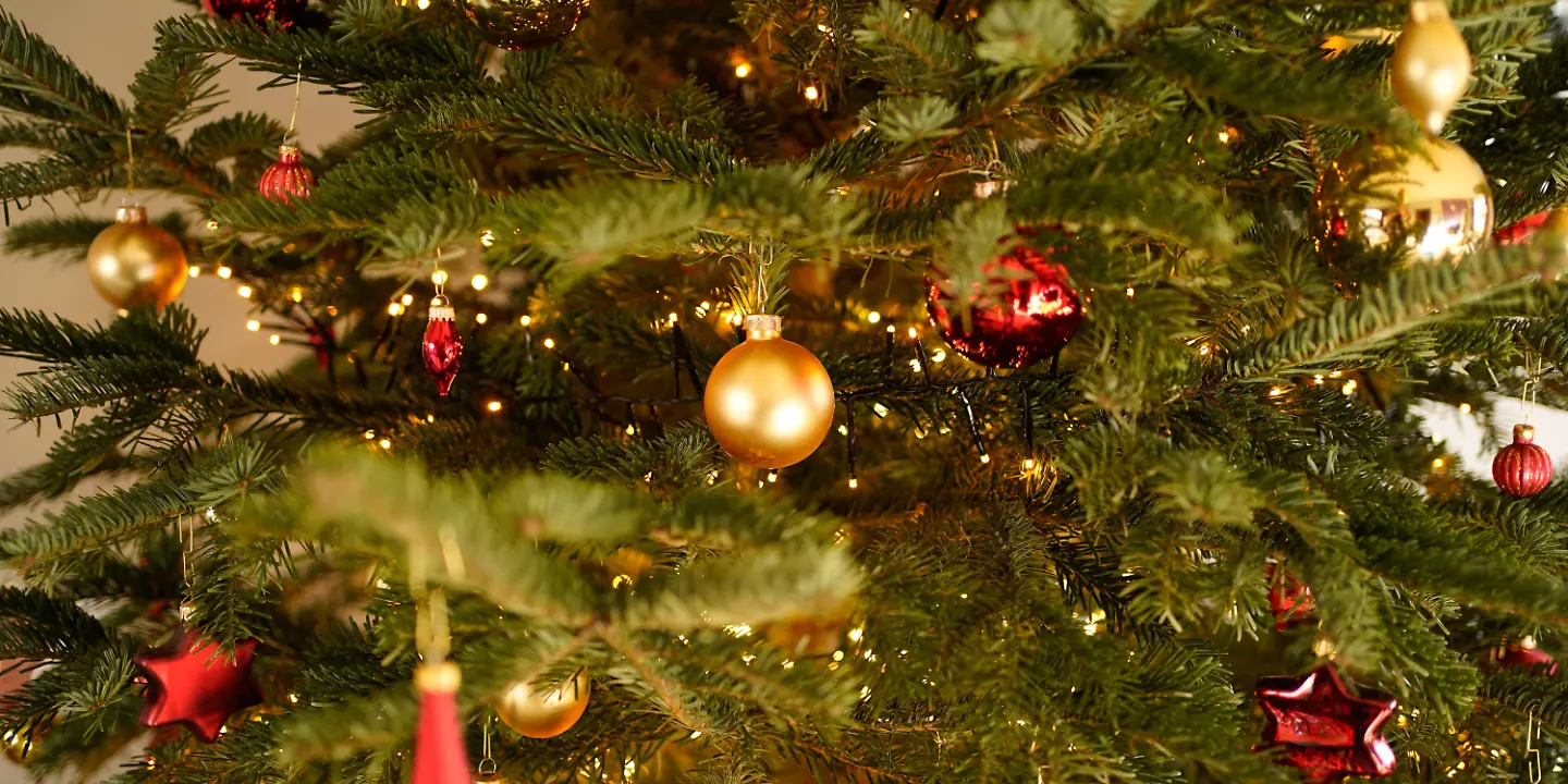 Tannenbaum, Weihnachtsbaum, Christbaum